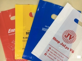 Cung Cấp Túi Pe Hột Xoài Giá Xưởng