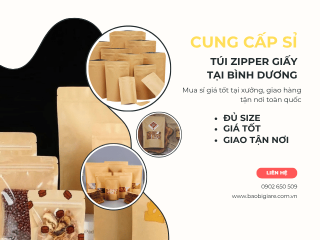Túi zipper giấy Bình Dương