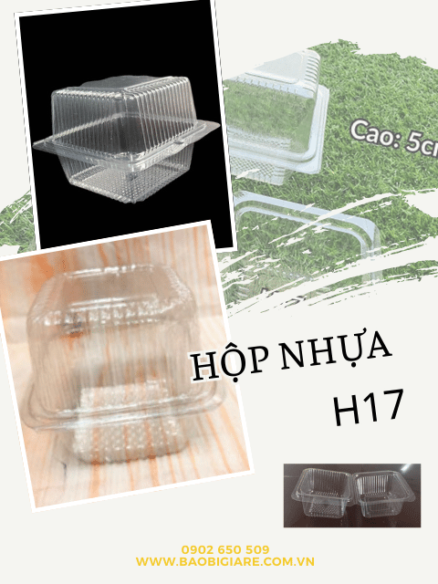 Hộp nhựa H17