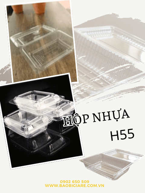 Hộp nhựa H55