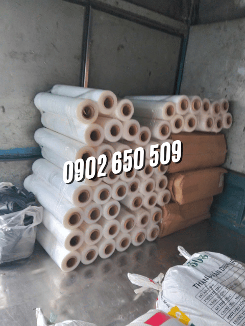 Màng PE quấn hàng 50cm ( màng chít )